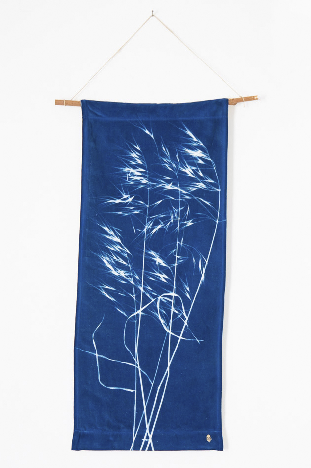 cyanotype, décoration d'intérieur, kakemono