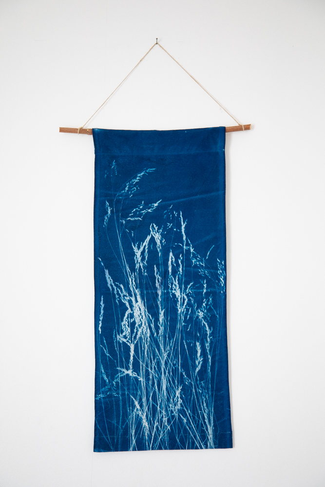 cyanotype, kakemono, graminées, végétal, décoration, d'intérieur