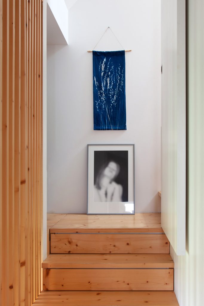 cyanotype, décoration murale, végétal, nature