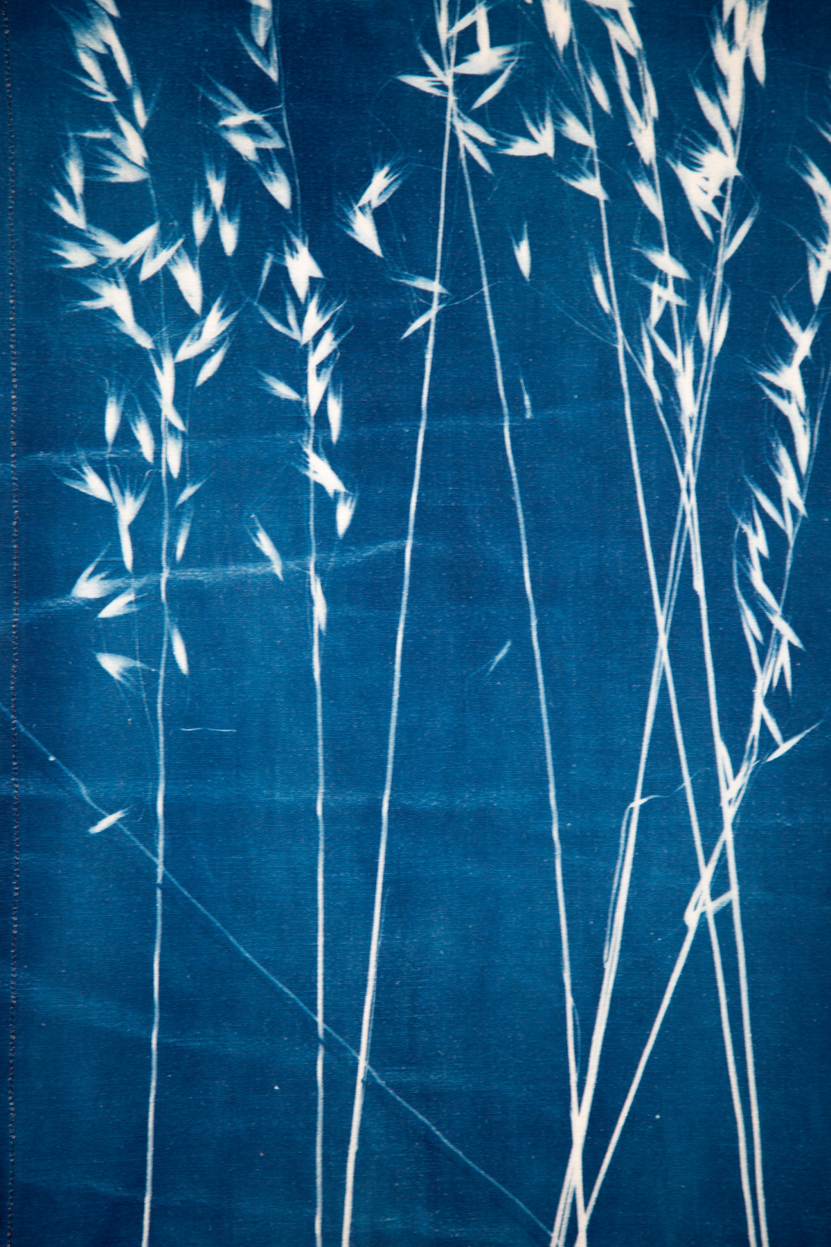 Kakemono 4 – Image 6