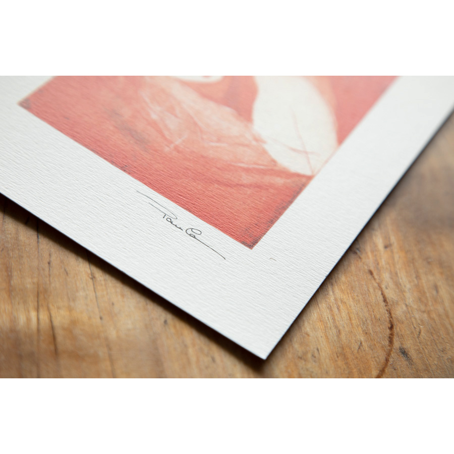 Les amoureux – Image 6